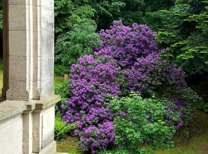 Romantic Chateau 3*